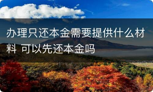 办理只还本金需要提供什么材料 可以先还本金吗