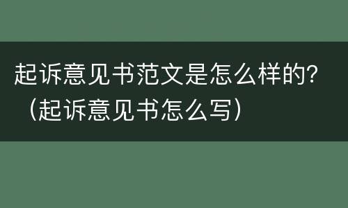 起诉意见书范文是怎么样的？（起诉意见书怎么写）