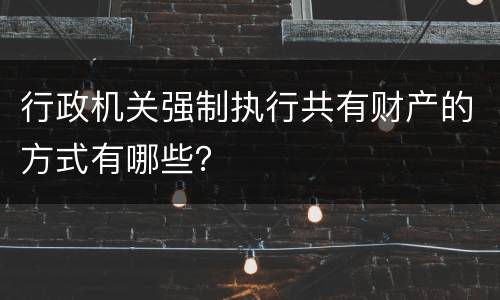 行政机关强制执行共有财产的方式有哪些？