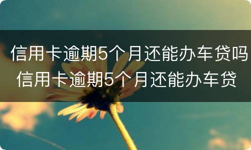 信用卡逾期5个月还能办车贷吗 信用卡逾期5个月还能办车贷吗怎么办