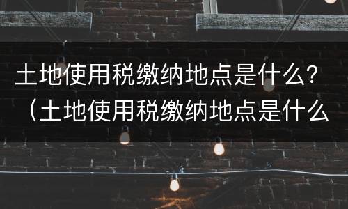 土地使用税缴纳地点是什么？（土地使用税缴纳地点是什么单位）