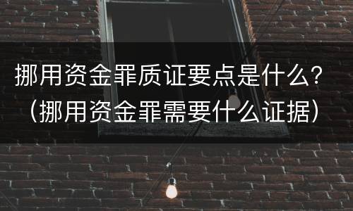 挪用资金罪质证要点是什么？（挪用资金罪需要什么证据）