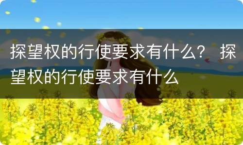 探望权的行使要求有什么？ 探望权的行使要求有什么