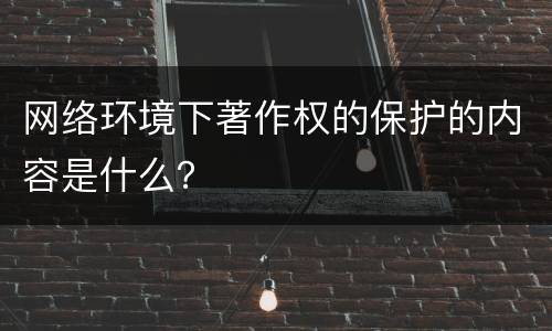 网络环境下著作权的保护的内容是什么？