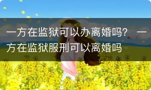 一方在监狱可以办离婚吗？ 一方在监狱服刑可以离婚吗