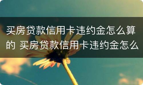 买房贷款信用卡违约金怎么算的 买房贷款信用卡违约金怎么算的啊