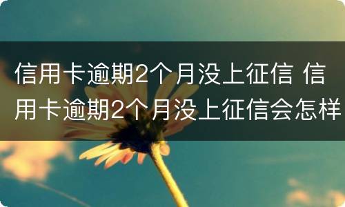 信用卡逾期2个月没上征信 信用卡逾期2个月没上征信会怎样