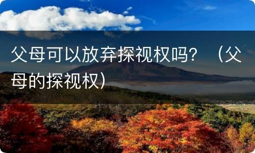 父母可以放弃探视权吗？（父母的探视权）