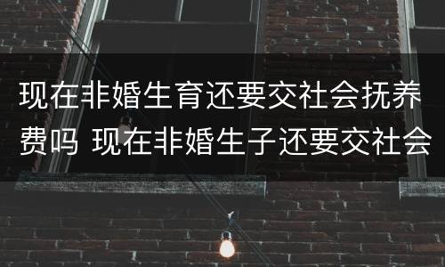 现在非婚生育还要交社会抚养费吗 现在非婚生子还要交社会抚养费吗