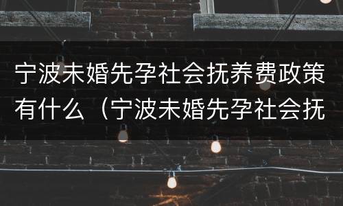 宁波未婚先孕社会抚养费政策有什么（宁波未婚先孕社会抚养费政策有什么规定）