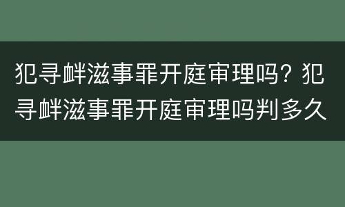 犯寻衅滋事罪开庭审理吗? 犯寻衅滋事罪开庭审理吗判多久