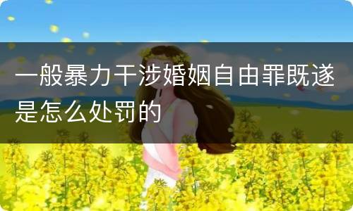 一般暴力干涉婚姻自由罪既遂是怎么处罚的