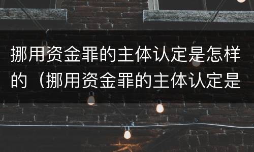 挪用资金罪的主体认定是怎样的（挪用资金罪的主体认定是怎样的标准）