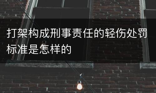 打架构成刑事责任的轻伤处罚标准是怎样的