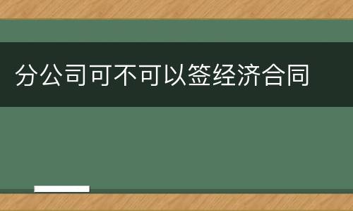 分公司可不可以签经济合同