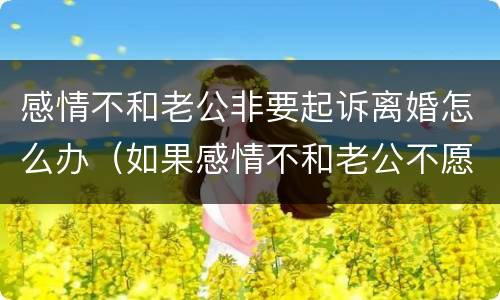 感情不和老公非要起诉离婚怎么办（如果感情不和老公不愿意离婚）