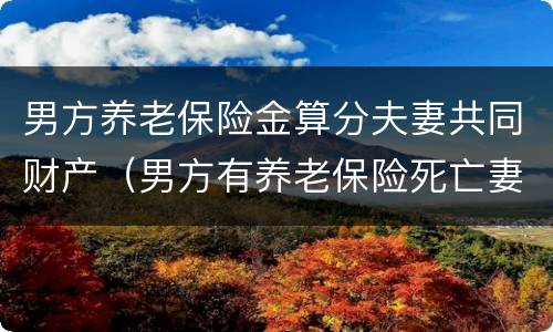 男方养老保险金算分夫妻共同财产（男方有养老保险死亡妻子能继承吗）