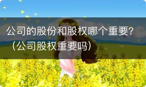 公司的股份和股权哪个重要？（公司股权重要吗）