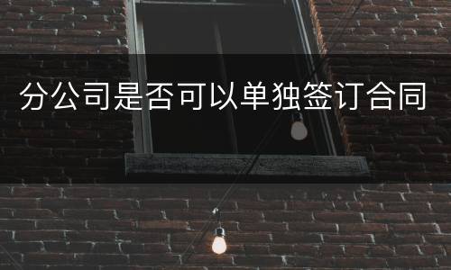 分公司是否可以单独签订合同