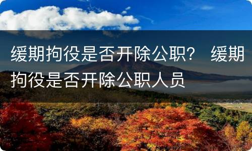 缓期拘役是否开除公职？ 缓期拘役是否开除公职人员