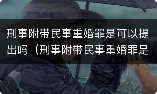 刑事附带民事重婚罪是可以提出吗（刑事附带民事重婚罪是可以提出吗）