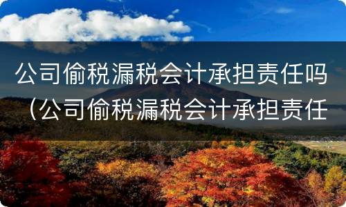 公司偷税漏税会计承担责任吗（公司偷税漏税会计承担责任吗知乎）