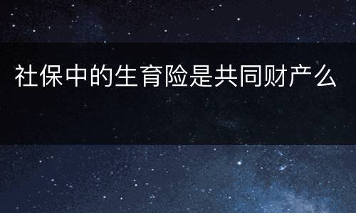 社保中的生育险是共同财产么