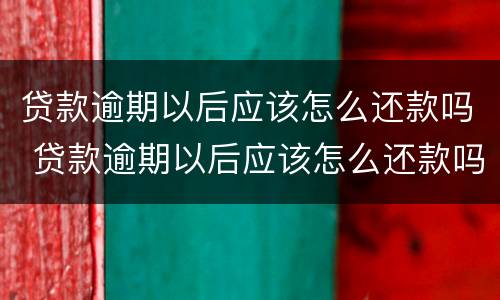 贷款逾期以后应该怎么还款吗 贷款逾期以后应该怎么还款吗知乎