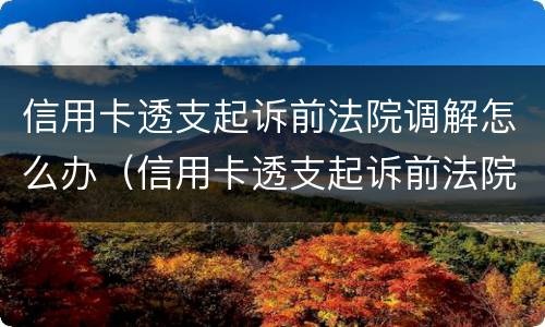 信用卡透支起诉前法院调解怎么办（信用卡透支起诉前法院调解怎么办理）