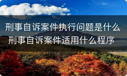 刑事自诉案件执行问题是什么 刑事自诉案件适用什么程序