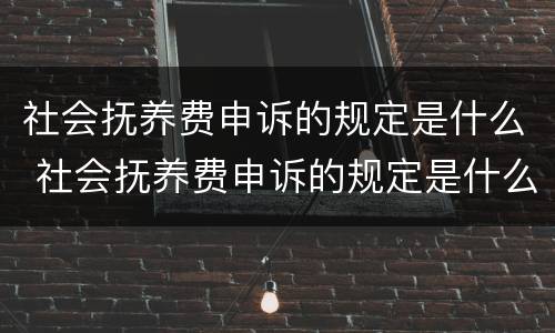 社会抚养费申诉的规定是什么 社会抚养费申诉的规定是什么意思