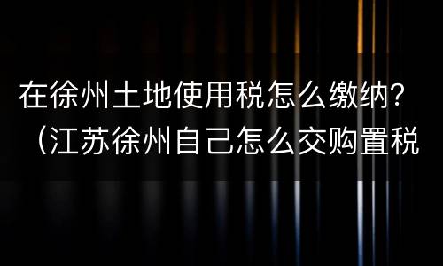 在徐州土地使用税怎么缴纳？（江苏徐州自己怎么交购置税）