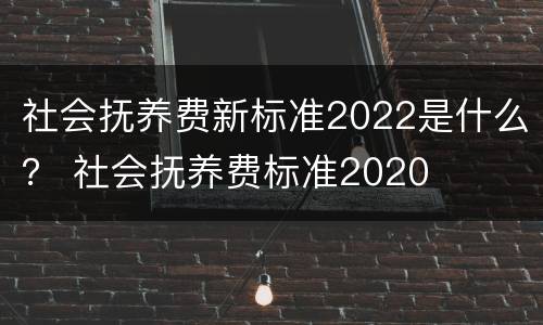 社会抚养费新标准2022是什么？ 社会抚养费标准2020