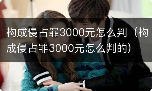 构成侵占罪3000元怎么判（构成侵占罪3000元怎么判的）