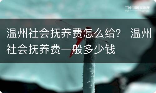 温州社会抚养费怎么给？ 温州社会抚养费一般多少钱