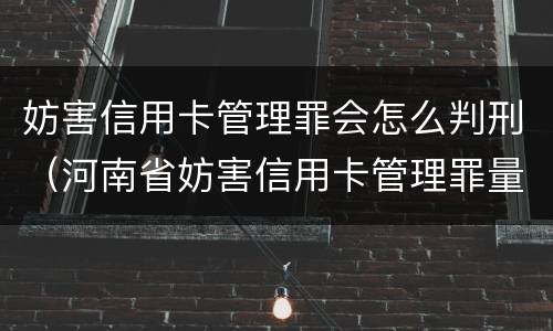 妨害信用卡管理罪会怎么判刑（河南省妨害信用卡管理罪量刑标准）