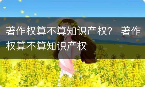 著作权算不算知识产权？ 著作权算不算知识产权