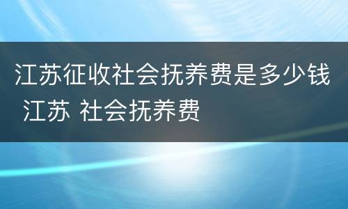 江苏征收社会抚养费是多少钱 江苏 社会抚养费