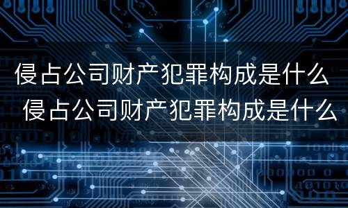 侵占公司财产犯罪构成是什么 侵占公司财产犯罪构成是什么意思