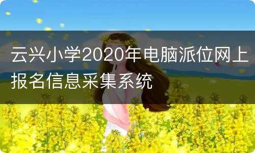 云兴小学2020年电脑派位网上报名信息采集系统