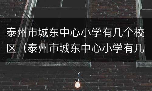 泰州市城东中心小学有几个校区（泰州市城东中心小学有几个校区啊）