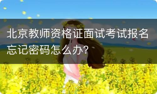 北京教师资格证面试考试报名忘记密码怎么办？