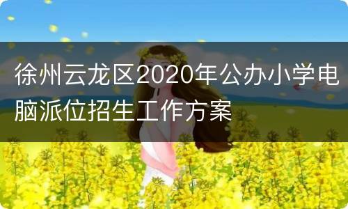 徐州云龙区2020年公办小学电脑派位招生工作方案