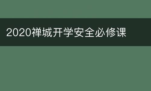 2020禅城开学安全必修课