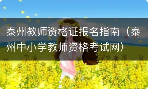 泰州教师资格证报名指南（泰州中小学教师资格考试网）