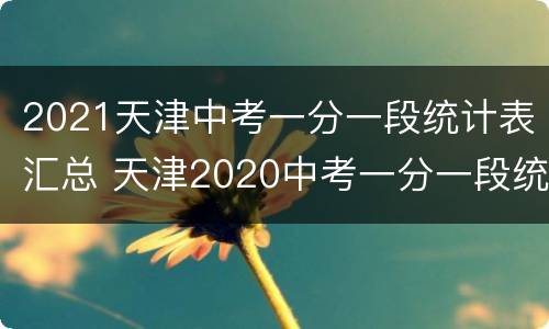 2021天津中考一分一段统计表汇总 天津2020中考一分一段统计表