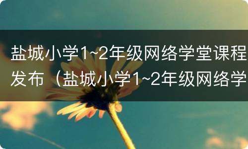 盐城小学1~2年级网络学堂课程发布（盐城小学1~2年级网络学堂课程发布会）