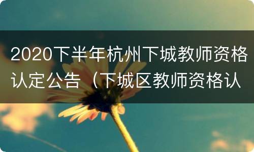 2020下半年杭州下城教师资格认定公告（下城区教师资格认定指导中心）