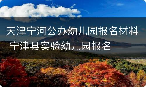 天津宁河公办幼儿园报名材料 宁津县实验幼儿园报名