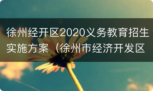 徐州经开区2020义务教育招生实施方案（徐州市经济开发区小学招生）